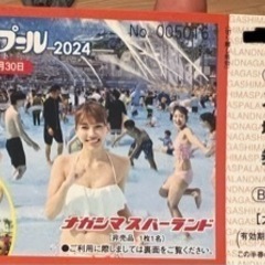 ナガシマスパーランド　ジャンボ海水プール　2枚（1〜6枚まで可能）