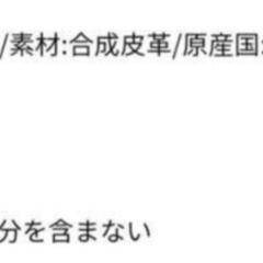 【未使用】箱付 EVOL ブーツ LLサイズの画像