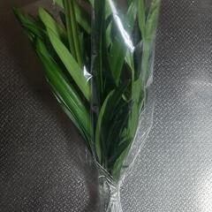 チャーギ(1束3本入)(ありがとうございました(*^^*)