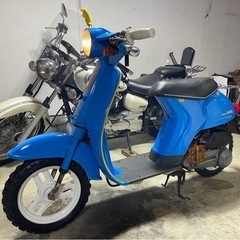 ホンダタクティ　※イブスマイル決まりました※　の画像