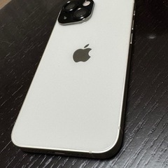 iPhone13mini 256
