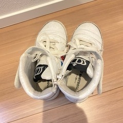 ベビードール20.0の画像