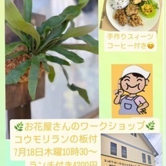 コウモリラン板付ワークショップ