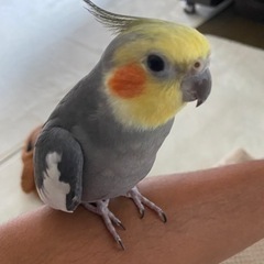 友達募集です！