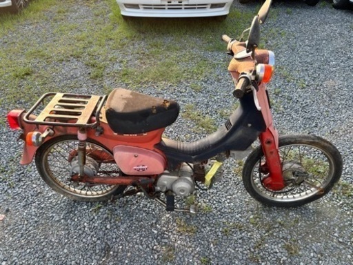 《お取引決まりました》カブ　赤カブ