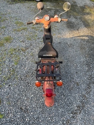 《お取引決まりました》カブ　赤カブ