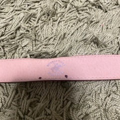 ベルト　の画像