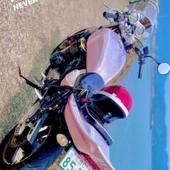 Xjr400 (カスタムピンクラメ＆セッテイング済み)
