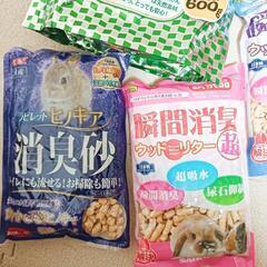 小動物 グッズの画像