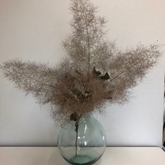 お値下げいたしました　植物　スモークツリー　ドライフラワー
