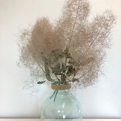 お値下げいたしました植物　スモークツリー　ドライフラワー