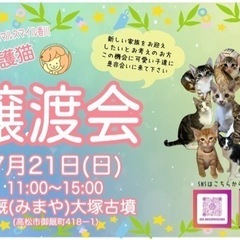 ★7/21(日)に延期★ 7/14予定 保護猫の譲渡会@アニマル...
