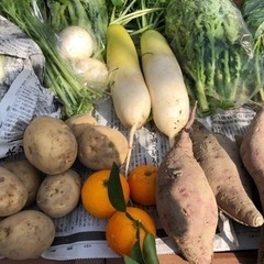 自然農体験教室　野菜作り！の画像
