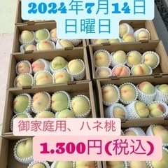 清水白桃【家庭用】