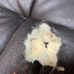 レザーソファー※2/14までに引渡しできる方の画像