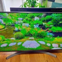 49インチ 液晶 4Kテレビ LG 49UJ6500(2018年...