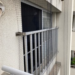 網戸　大3枚　中1枚　北九州市営住宅　守恒第二団地の画像