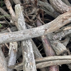 薪　原木　300kgの画像