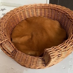 （決まりました）猫　ベッド　籠　ラタン　ペットベッド