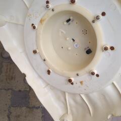 決まりました！ クリスマスの画像