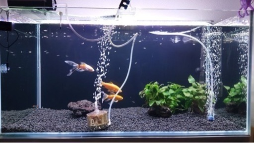 90cm水槽 セット