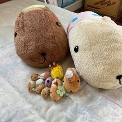 カピバラさんグッズ12点セット
