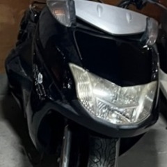　　　マグザム　250　