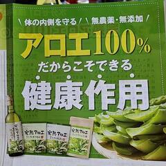 キダチアロエの画像