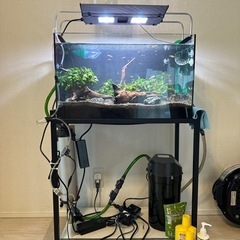 ※説明分必読※アクアリウム　熱帯魚　飼育品一式　　