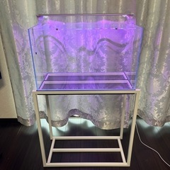 アクアラックスチールの中古が安い！激安で譲ります・無料で