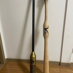 アリアプロ2 rb-750 リッケンバッカー