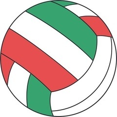 9人制バレーボールメンバー募集