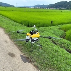 【今だけ価格・理由は説明欄に】農家が請け負うドローン散布 さくら...