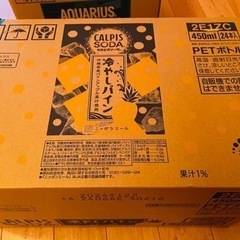 カルピスソ—ダ　冷やしパイン