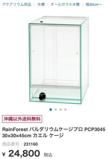 パルダリウム水槽