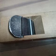 カンナ(近隣お届け可能)の画像