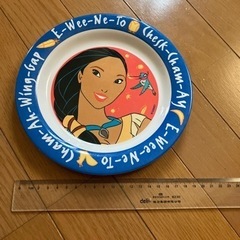 ポカポンタスプラスチック皿