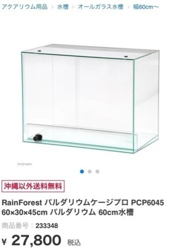 パルダリウム水槽②