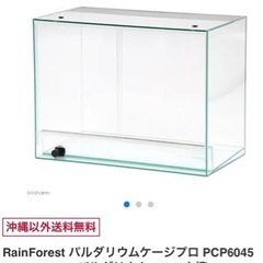 パルダリウム水槽②