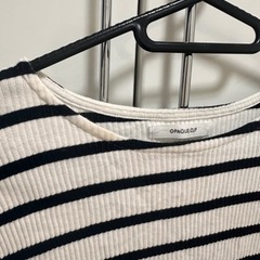 Lサイズトップス2点　OPAQUE、indexの画像