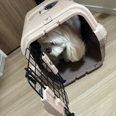 犬　クレート　リッチェルの画像