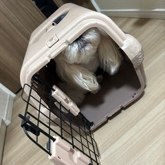 犬　クレート　リッチェルの画像