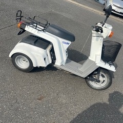 ジャイロ
の画像