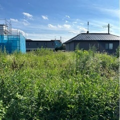草刈り機を使用した草刈り作業・除草剤散布　群馬県　埼玉県　栃木県