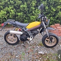スズキ　ストリートマジック110（自賠責サービス）の画像