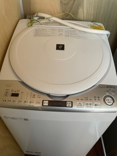 洗濯機SHARP 2019年　値引き可
