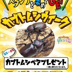 【7月15日 カブトムシペアプレゼント】遊び場 鶴見緑地