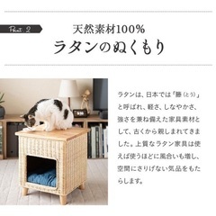 サイドテーブル＆キャットベッド ラタンの画像