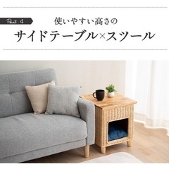 サイドテーブル＆キャットベッド ラタンの画像