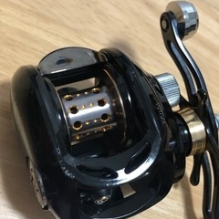 ダイワ ヴァデルBJ 100SHL(左ハンドル)の画像